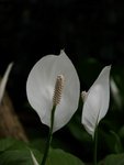 16-April-2005_23