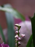 16-April-2005_41