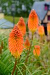 DSCF8147001