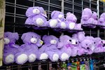 DSCF8815001