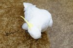 DSCF8873001