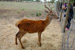 DSCF9022001
