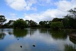 DSCF9038001