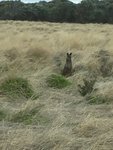 IMG_7458001