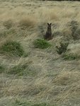 IMG_7459001