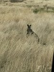 IMG_7460001