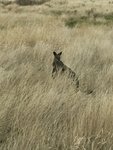 IMG_7461001