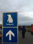 IMG_7466001
