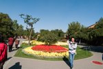 Beijing_D5_035
