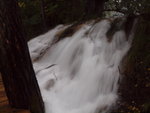 PA082159