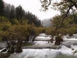 PA082181