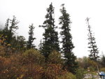 PA082268
