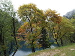 PA082306