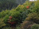 PA082336