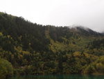 PA082337
