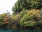 PA082341