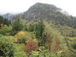 PA082348