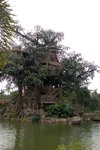 Disneyland_050