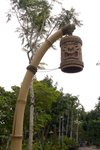 Disneyland_052