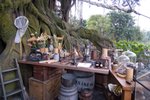 Disneyland_062
