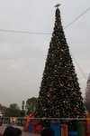 Disneyland_217