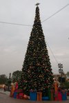 Disneyland_219
