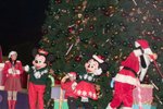 Disneyland_228