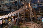 Dragon_Exibition_02