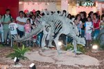 Dragon_Exibition_06