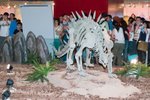 Dragon_Exibition_07