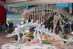 Dragon_Exibition_08