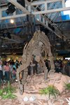 Dragon_Exibition_10