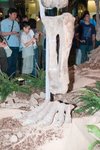 Dragon_Exibition_12