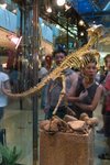 Dragon_Exibition_13