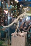 Dragon_Exibition_14
