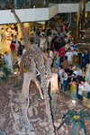 Dragon_Exibition_15