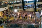 Dragon_Exibition_16