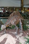 Dragon_Exibition_17