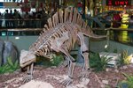Dragon_Exibition_18