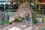 Dragon_Exibition_19