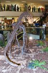 Dragon_Exibition_20