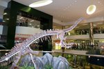 Dragon_Exibition_21