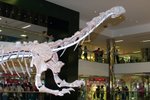 Dragon_Exibition_23