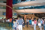 Dragon_Exibition_26