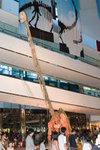 Dragon_Exibition_31