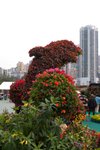 Flower_Exhibition_2007_036
