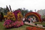 Flower_Exhibition_2007_038