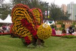 Flower_Exhibition_2007_043