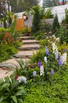 Flower_Exhibition_2007_049