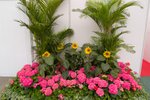 Flower_Exhibition_2007_065